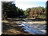 clay2001_11.JPG