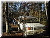 clay2001_23.JPG