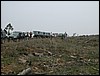 DSCN0799.JPG