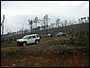 DSCN0804.JPG