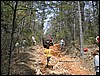 DSCN0821.JPG