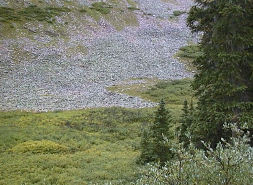 cond_135.jpg