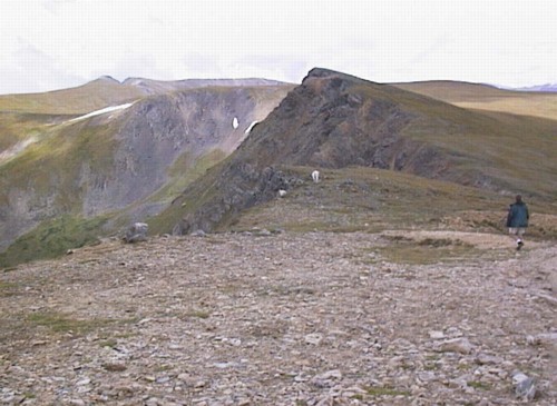 cond_212.jpg