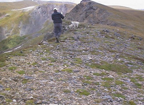 cond_214.jpg