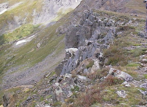 cond_215.jpg