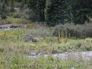 DSCN0120.JPG