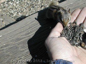DSCN0197.JPG