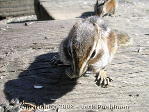 DSCN0199.JPG