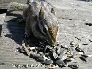DSCN0201.JPG