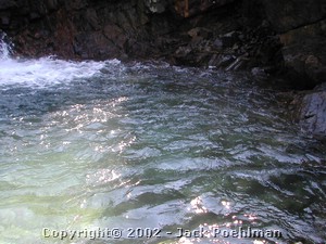 DSCN0341.JPG