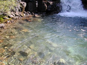 DSCN0342.JPG