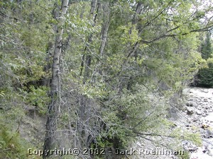 DSCN0351.JPG