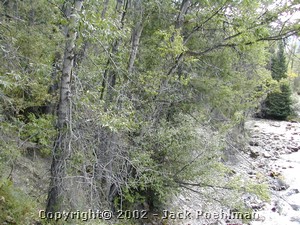 DSCN0352.JPG