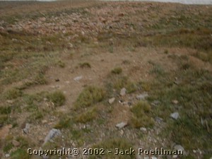 DSCN0374.JPG