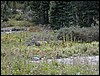 DSCN0120.JPG