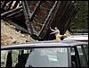 DSCN0189.JPG