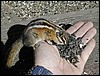 DSCN0196.JPG