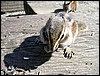 DSCN0199.JPG