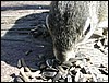 DSCN0200.JPG