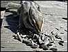 DSCN0201.JPG