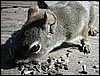 DSCN0204.JPG