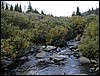 DSCN0258.JPG