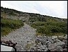 DSCN0296.JPG