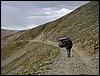 DSCN0316.JPG