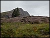 DSCN0325.JPG