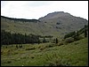 DSCN0332.JPG