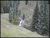 DSCN0335.JPG