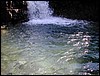 DSCN0338.JPG