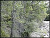 DSCN0351.JPG