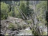 DSCN0355.JPG