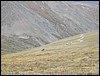 DSCN0368.JPG