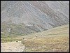 DSCN0369.JPG