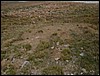 DSCN0374.JPG