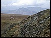 DSCN0375.JPG