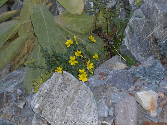 DSCN1581.JPG