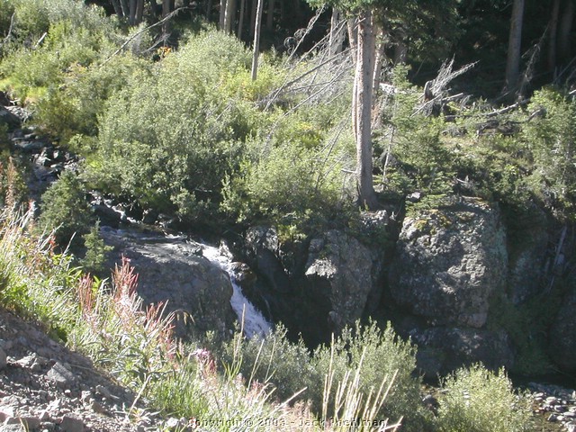DSCN1588.JPG