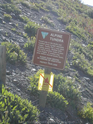DSCN1595.JPG