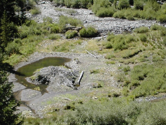 DSCN1649.JPG