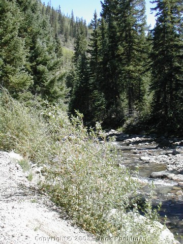 DSCN1661.JPG