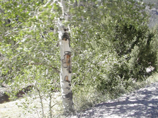 DSCN1671.JPG
