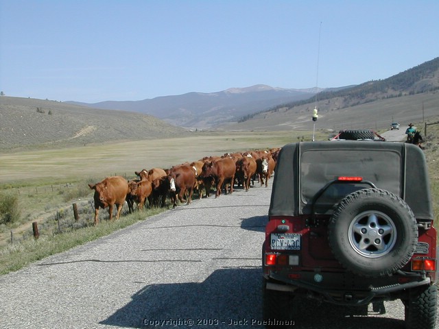 DSCN1720.JPG