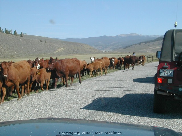 DSCN1722.JPG