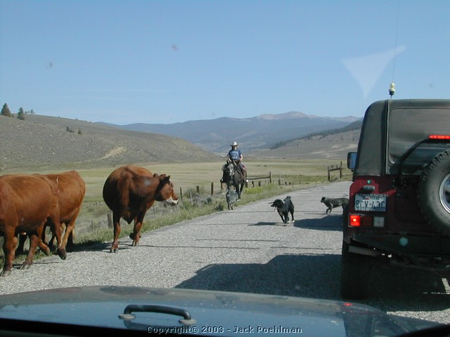 DSCN1723.JPG