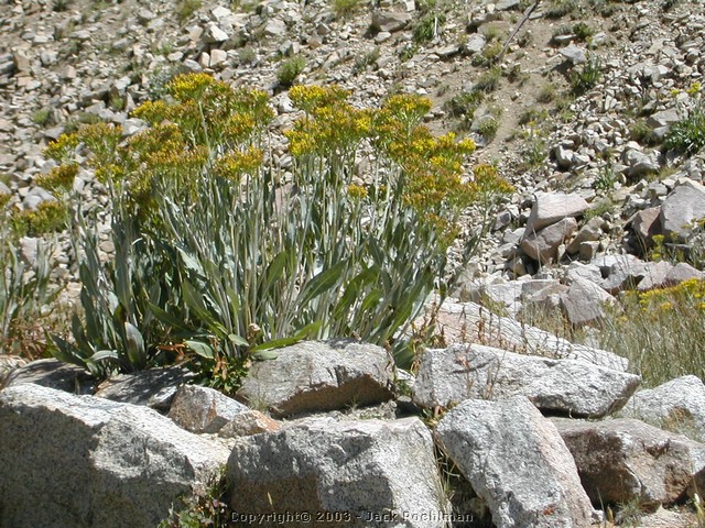DSCN1782.JPG