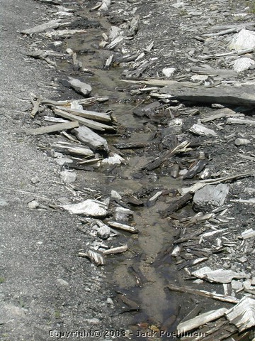 DSCN1797.JPG