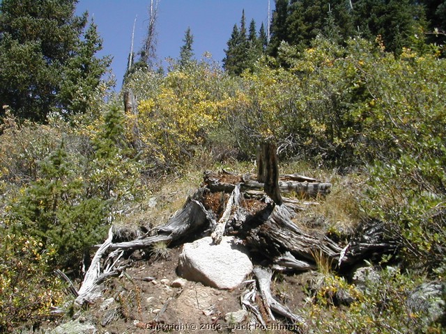 DSCN1824.JPG